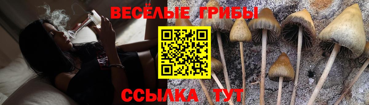 где можно купить наркотик  Галлюциногенные грибы ЛСД  Пушкино  Вход с VPN  Псилоцибиновые грибы мицелий 